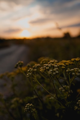 Photo 1693219979621 5d97adfd112b?q=85&w=700&h=400&fit=crop