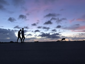 A serene sunset silhouette of two friends walking side by side, symbolizing trust and connection.