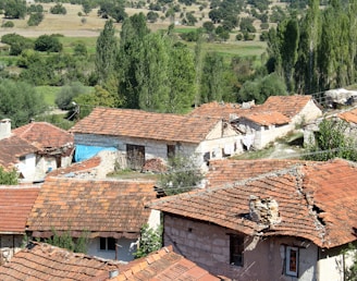 Several old stone buildings with red-tiled roofs are seen in a rural setting. The buildings appear weathered and dilapidated, with some showing signs of repair or decay. Lush green trees, bushes, and fields surround the area, adding a natural backdrop to the scene.