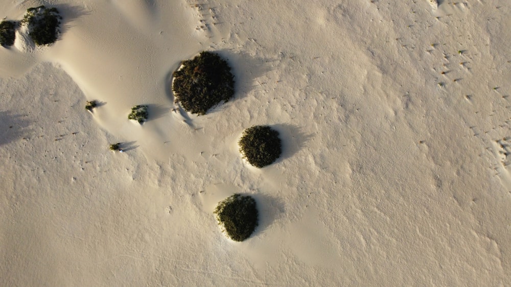 un groupe de rochers recouverts de neige les uns à côté des autres