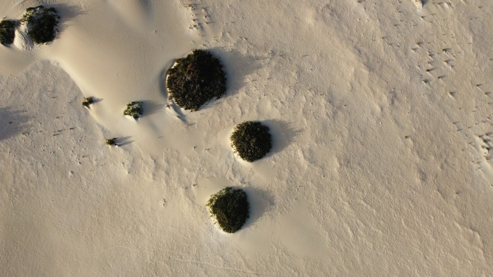 a group of rocks covered in snow next to each other