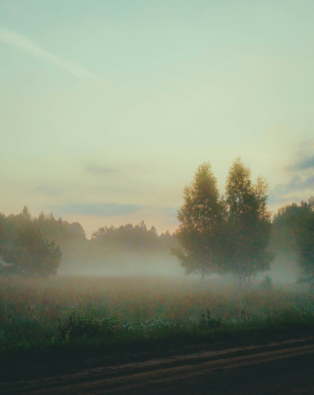 a foggy field with trees in the distance