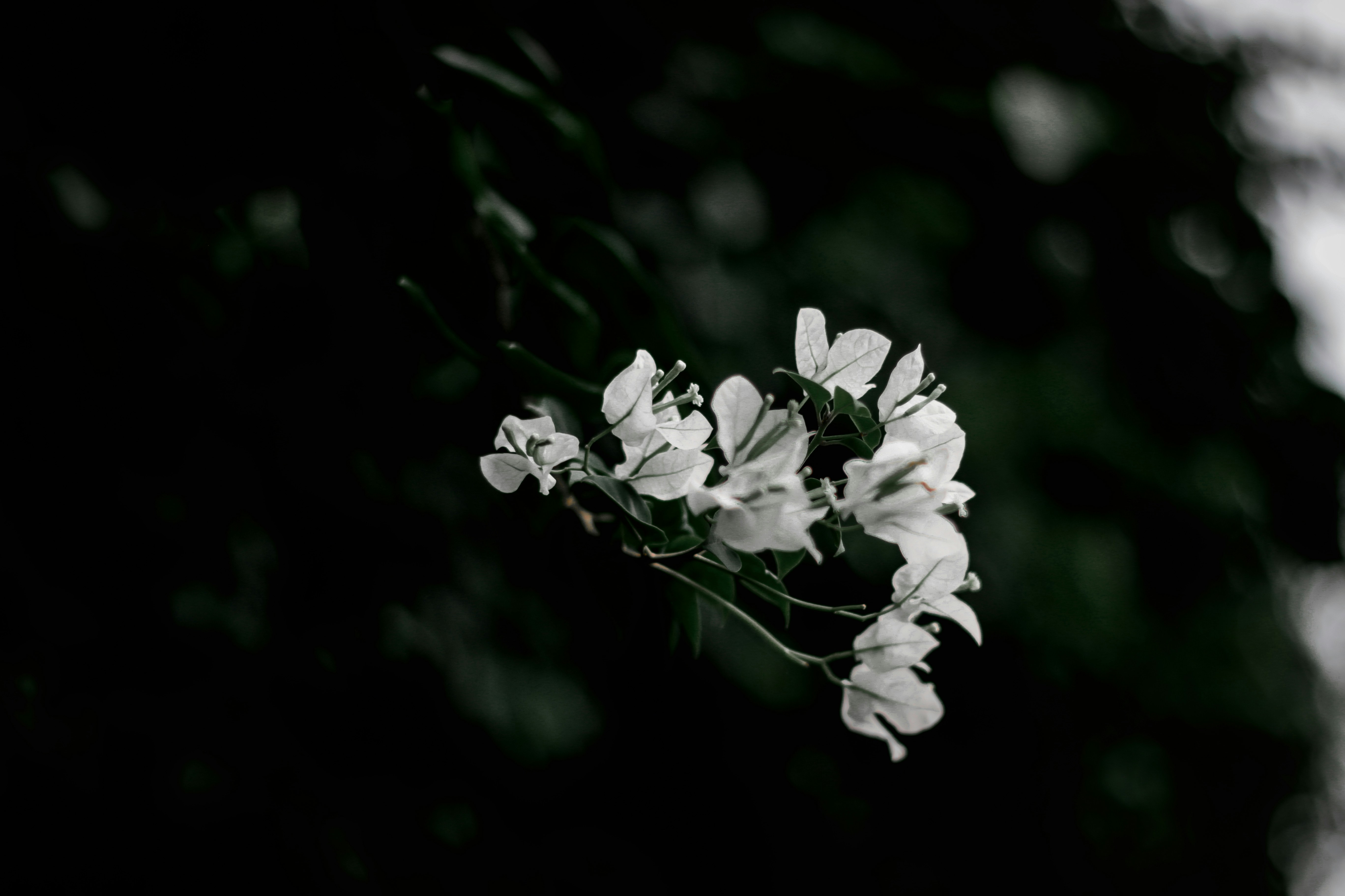 Photo by nadimmahamudsarder