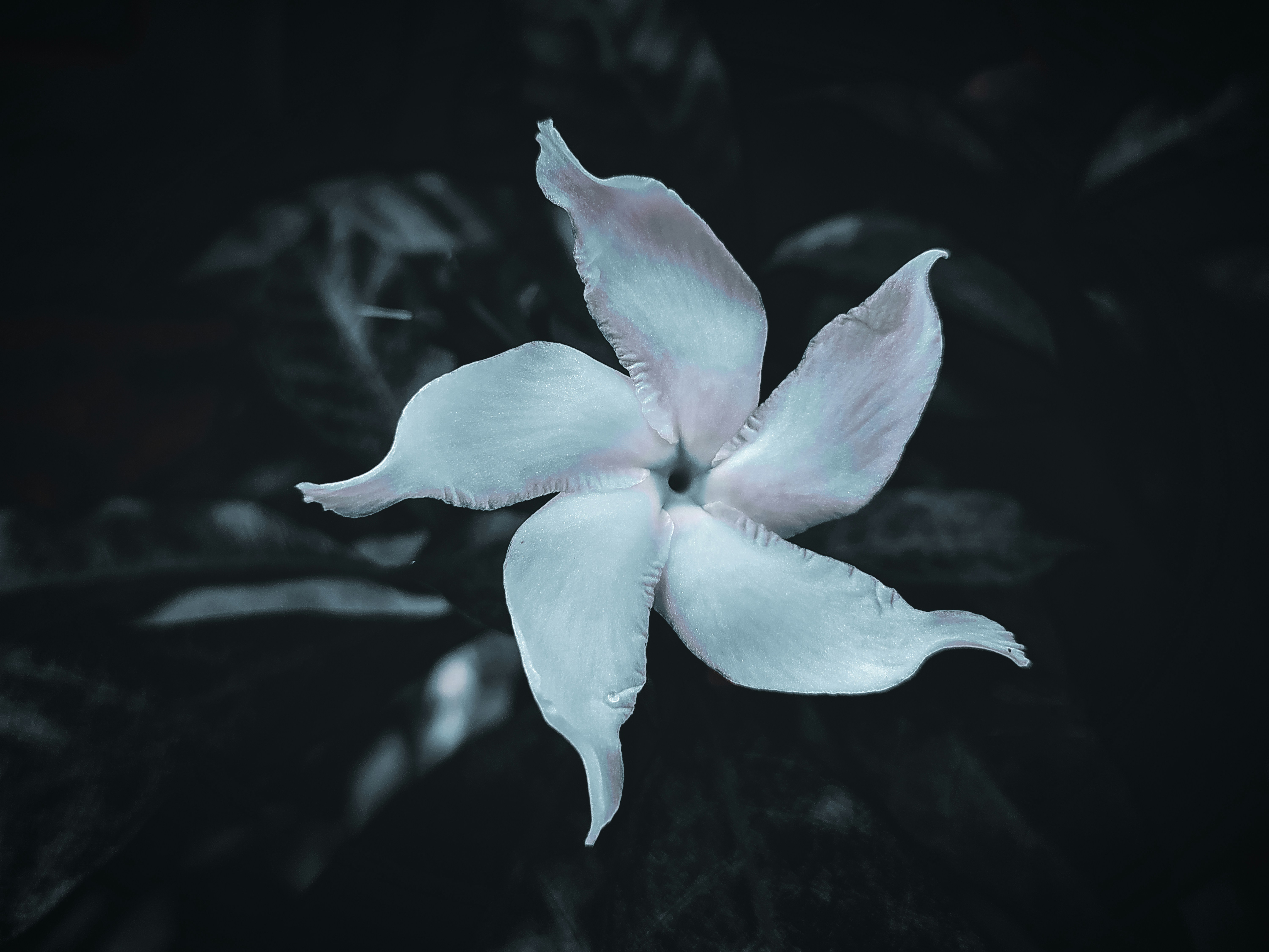 Photo by nadimmahamudsarder