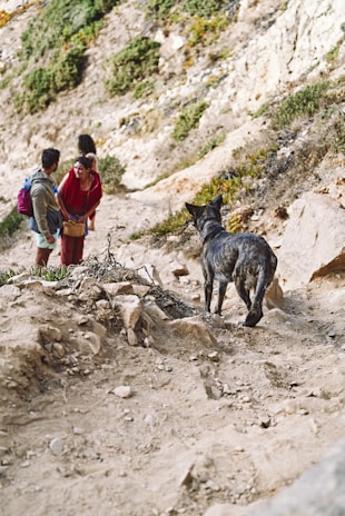 A lively Slack workspace screenshot showing members sharing trail tips and challenge updates.