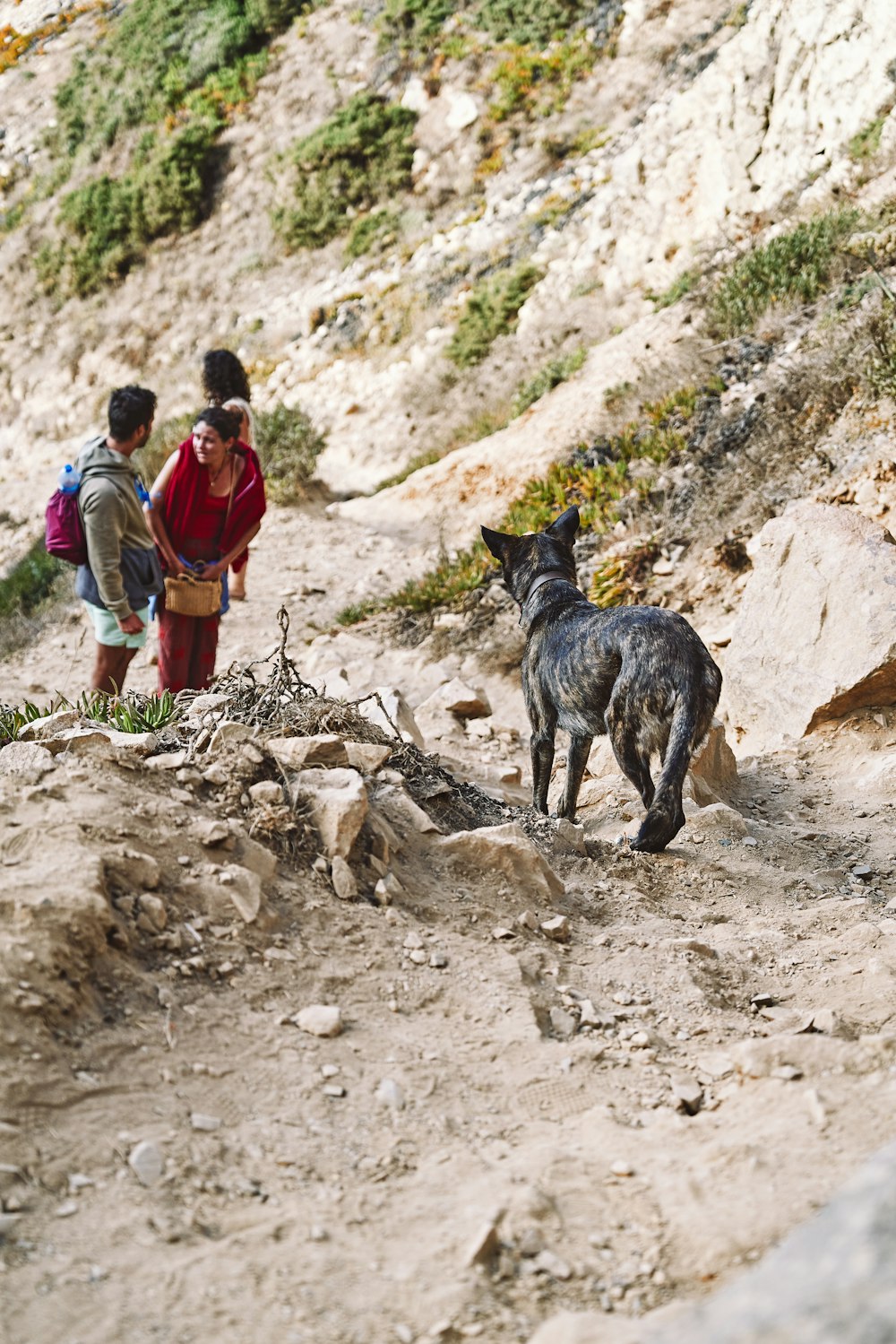 a couple of people and a dog on a hill