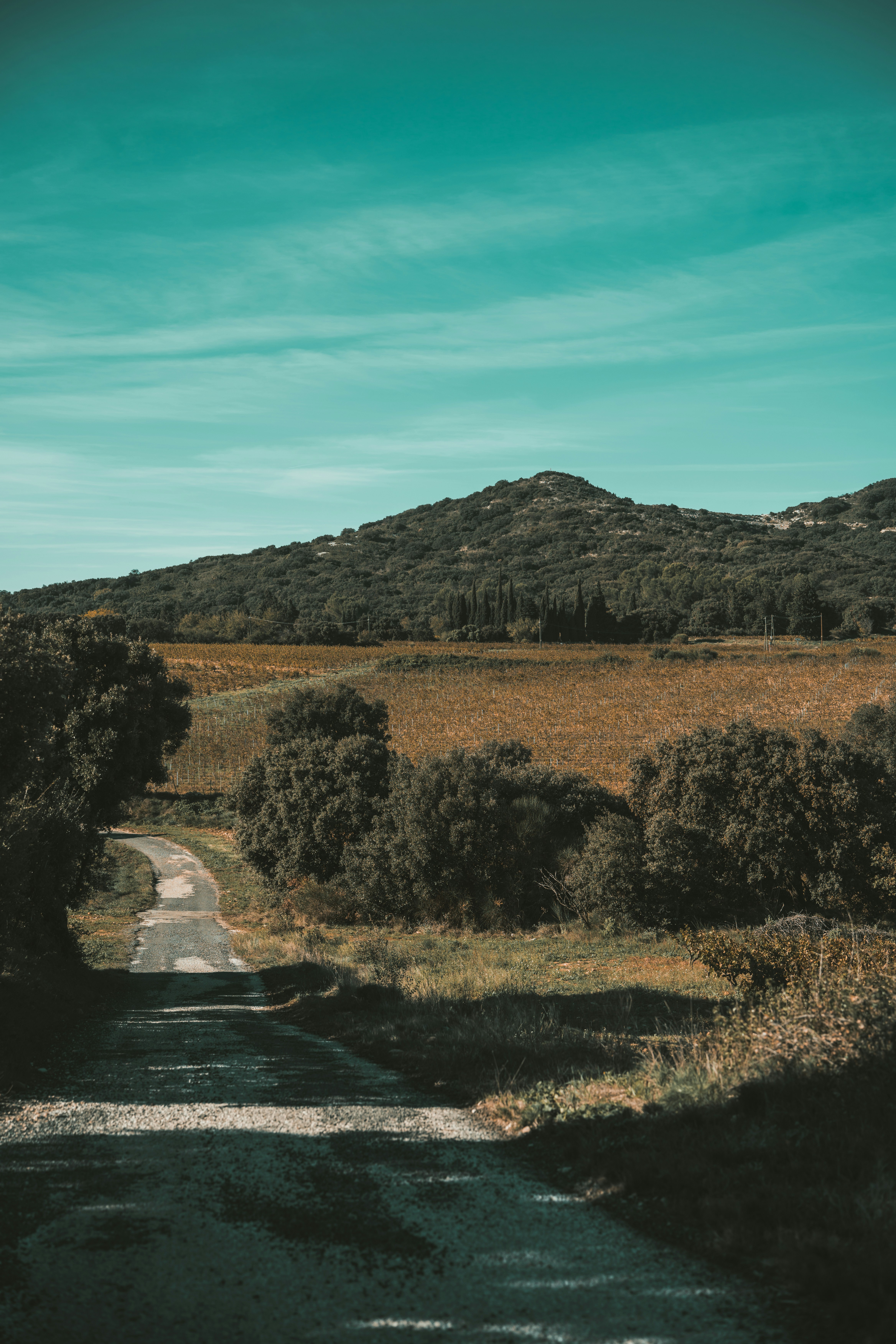 Photo by leopaquelin