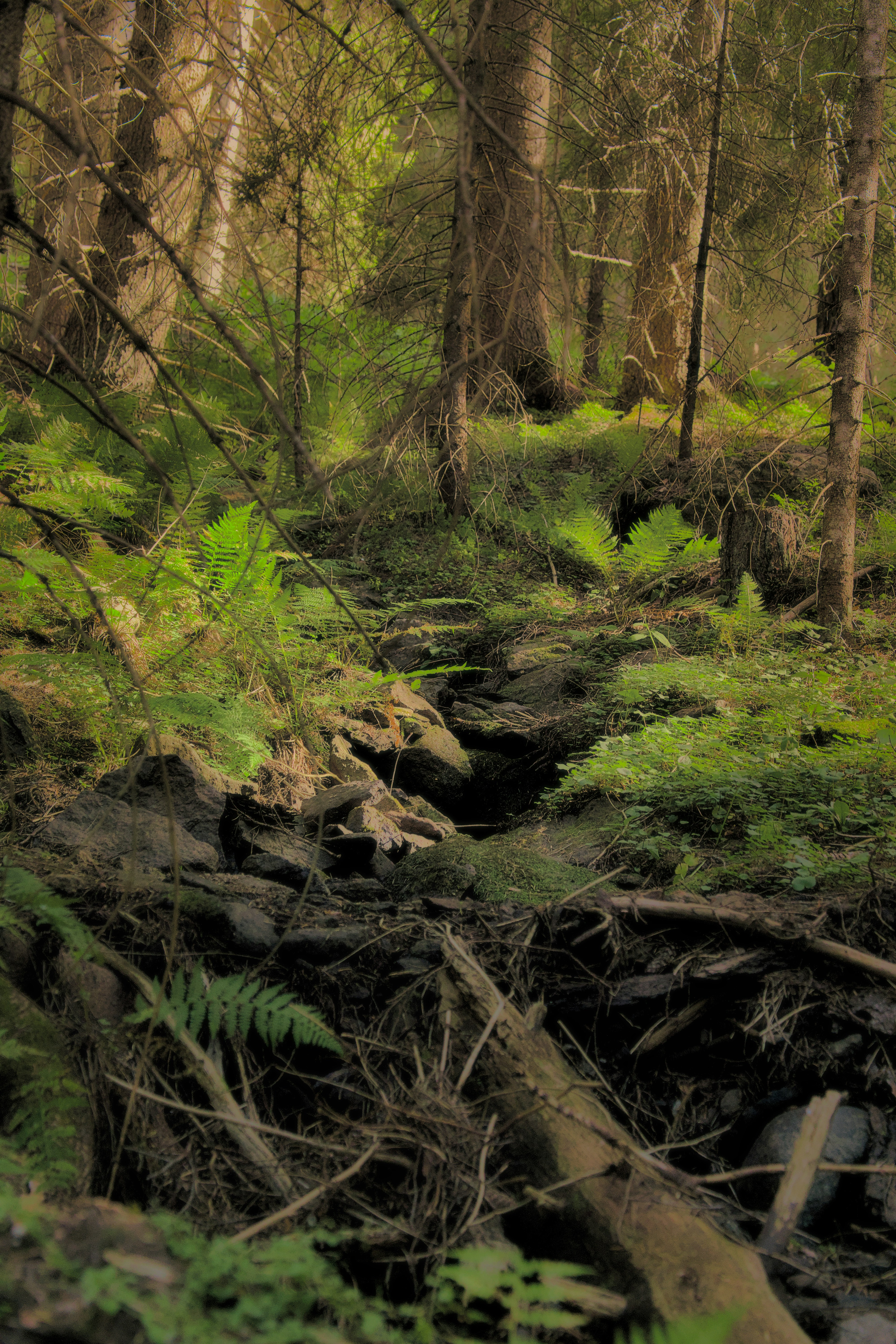 Photo by blooddrainer