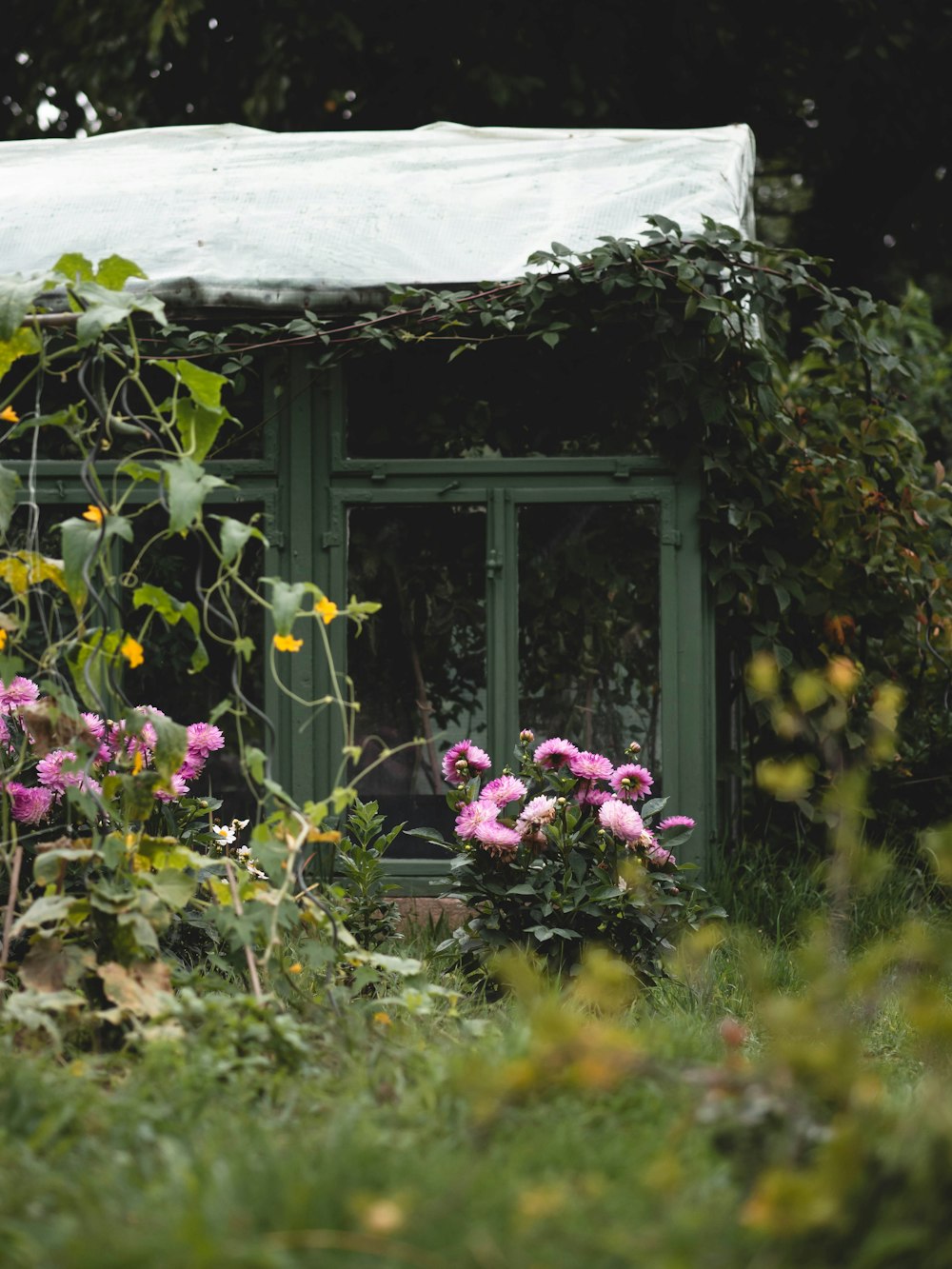 a green building surrounded by flowers and greenery