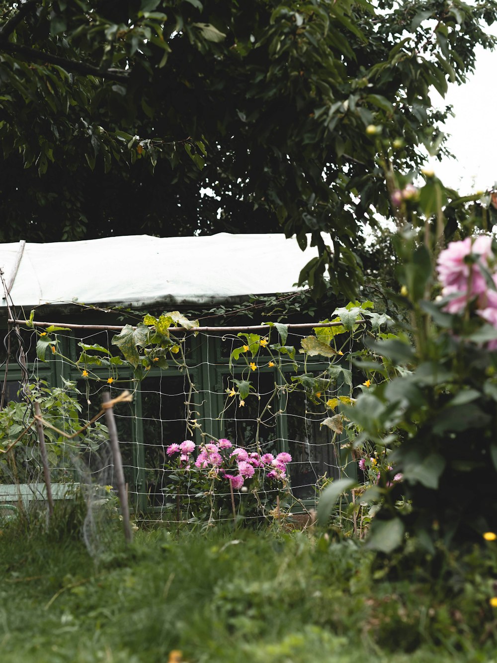 a fenced in area with flowers and a building in the background