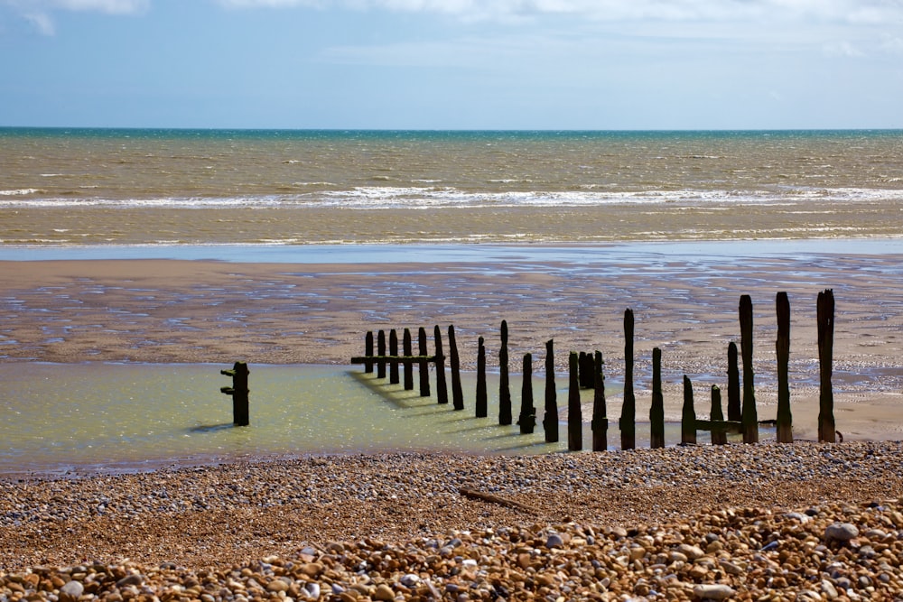 a row of wooden posts sticking out of the water