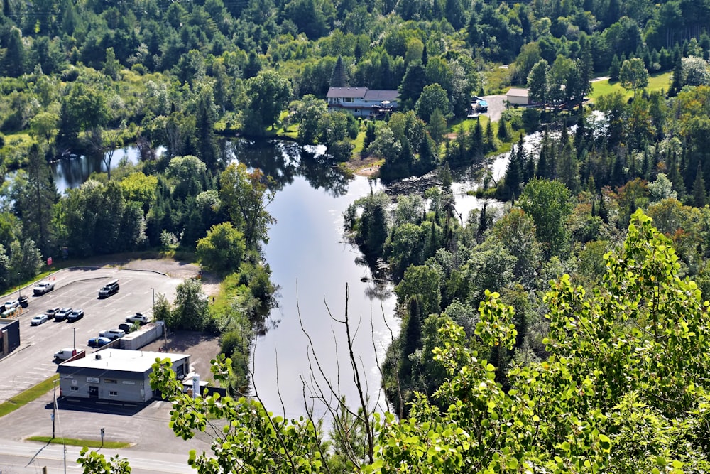 a river running through a forest filled with lots of trees