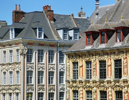 Elegant historic buildings featuring ornate architectural details, large windows, and steep slate roofs. The facades are richly decorated with sculptural elements and detailed moldings, reflecting classical European design.