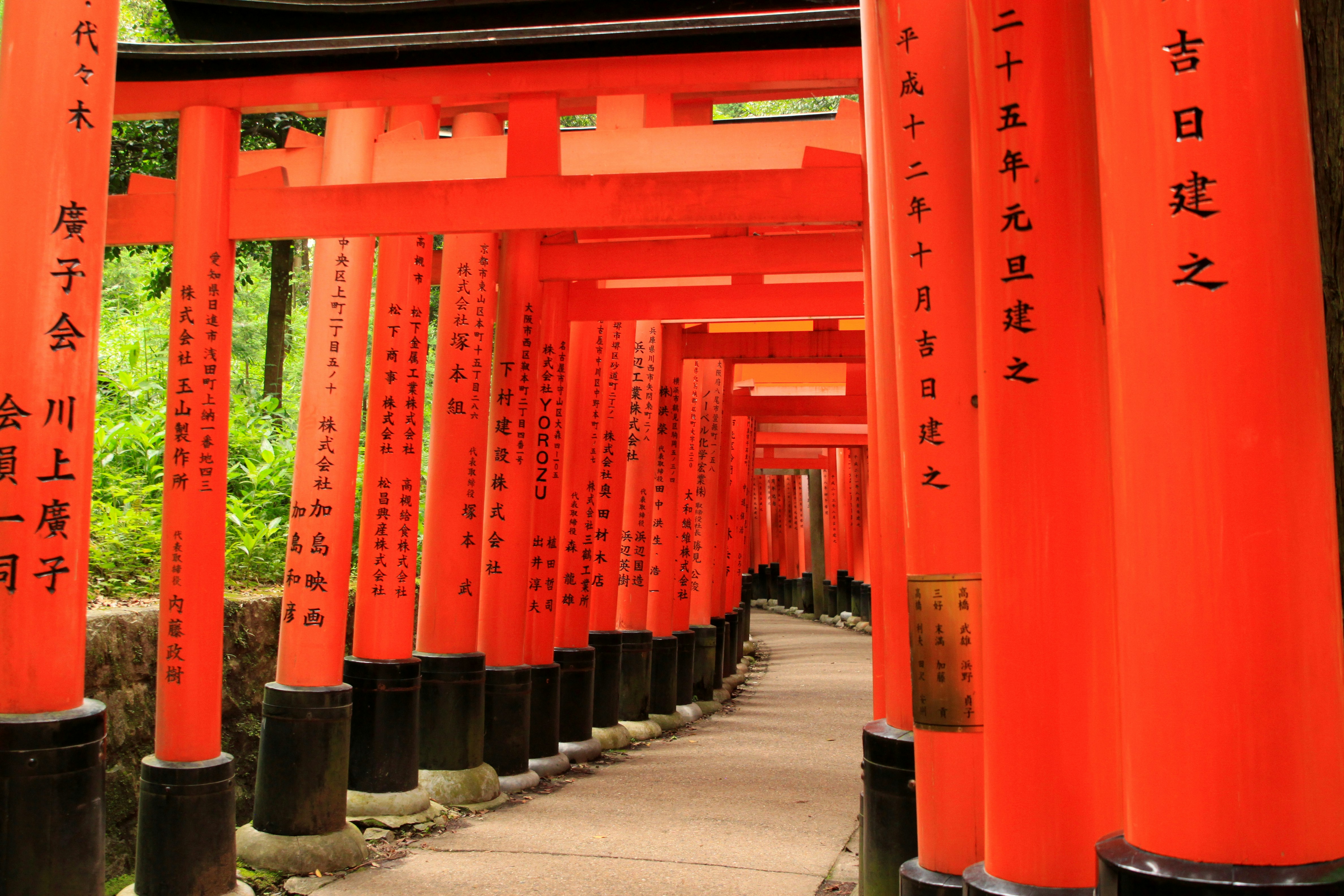 Photo by packetdiscards