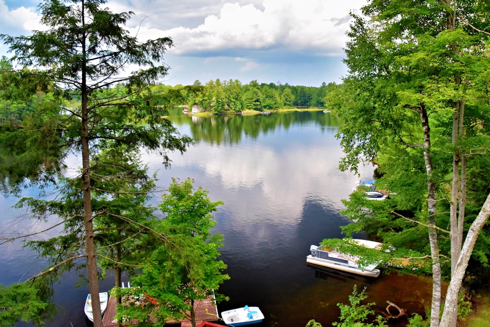 a lake surrounded by lots of trees and boats