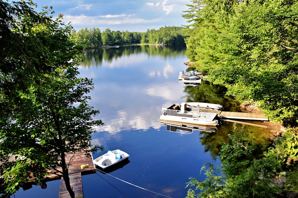a body of water surrounded by trees and boats