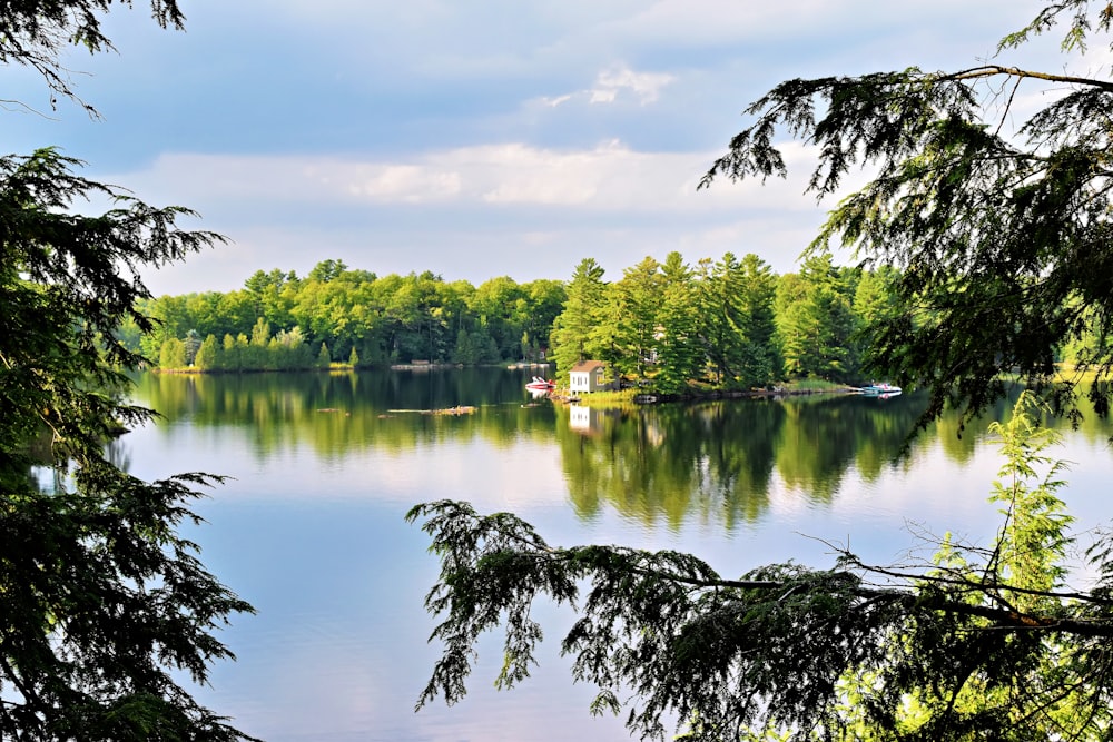 a body of water surrounded by trees