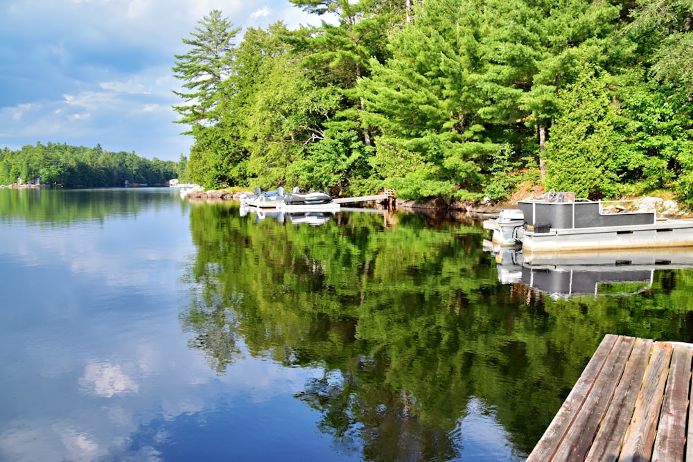 a body of water surrounded by trees and a dock