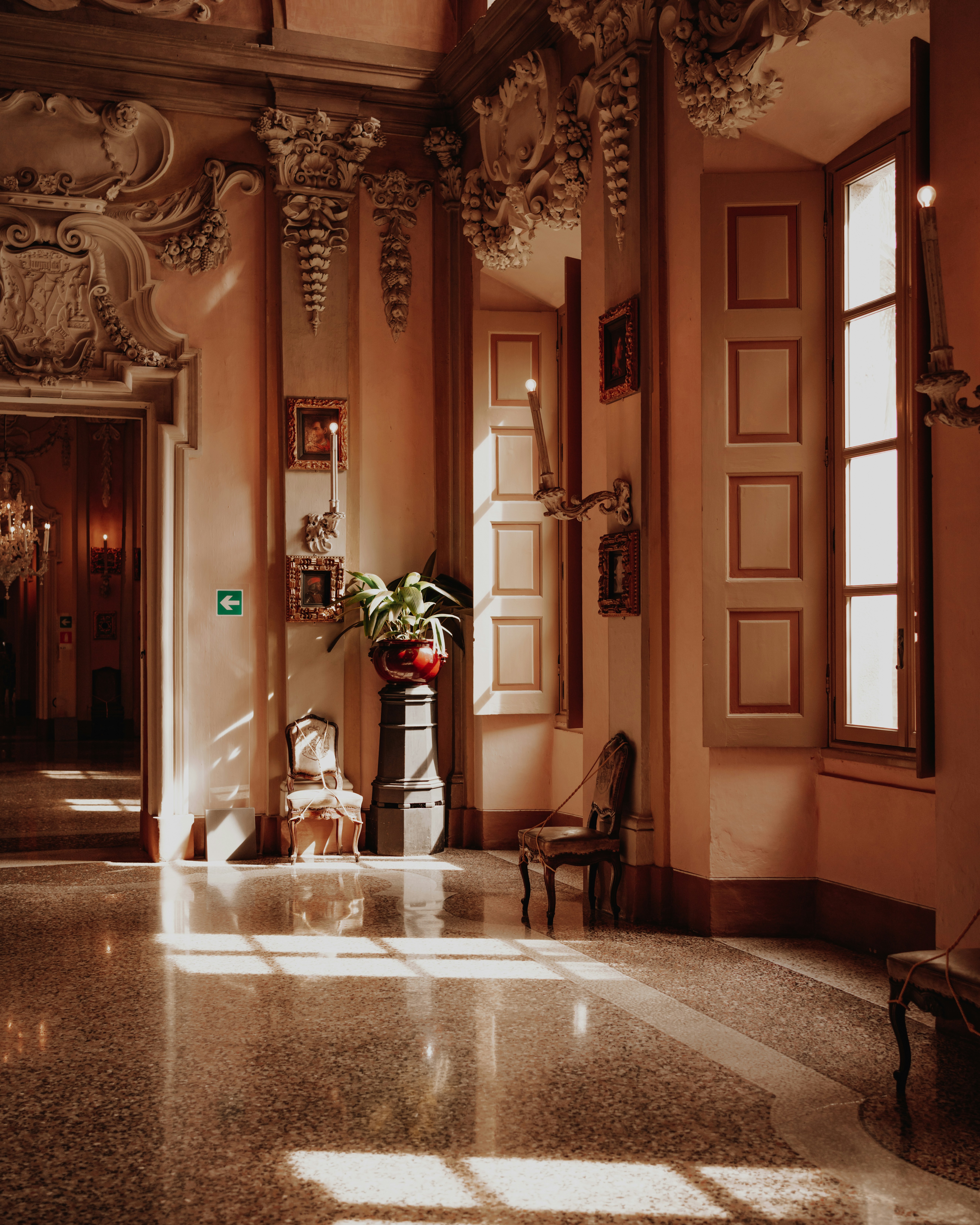 a room with a chair and a plant in it