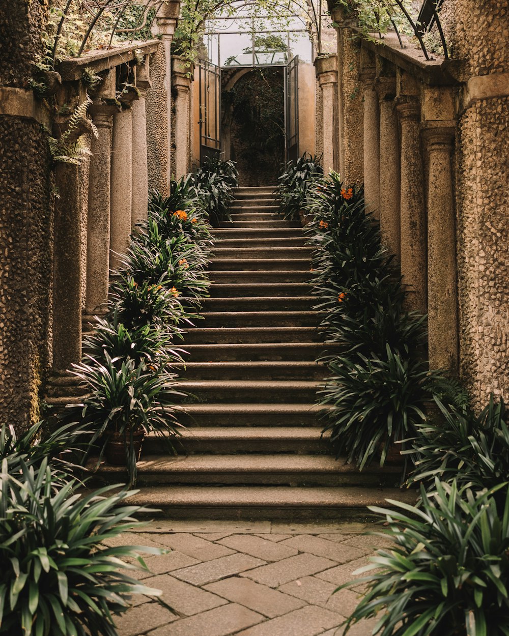 a set of steps leading up to a building