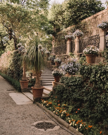 An elegant stone walkway leading to a vibrant garden.