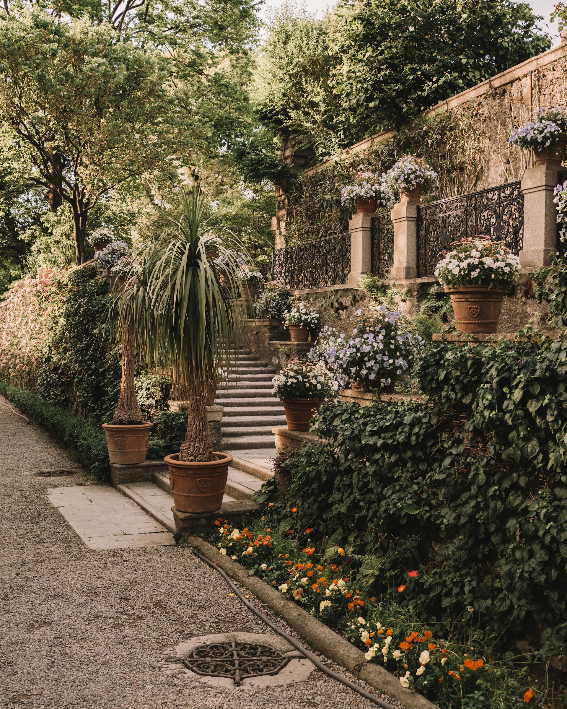 a bunch of potted plants sitting on the side of a building