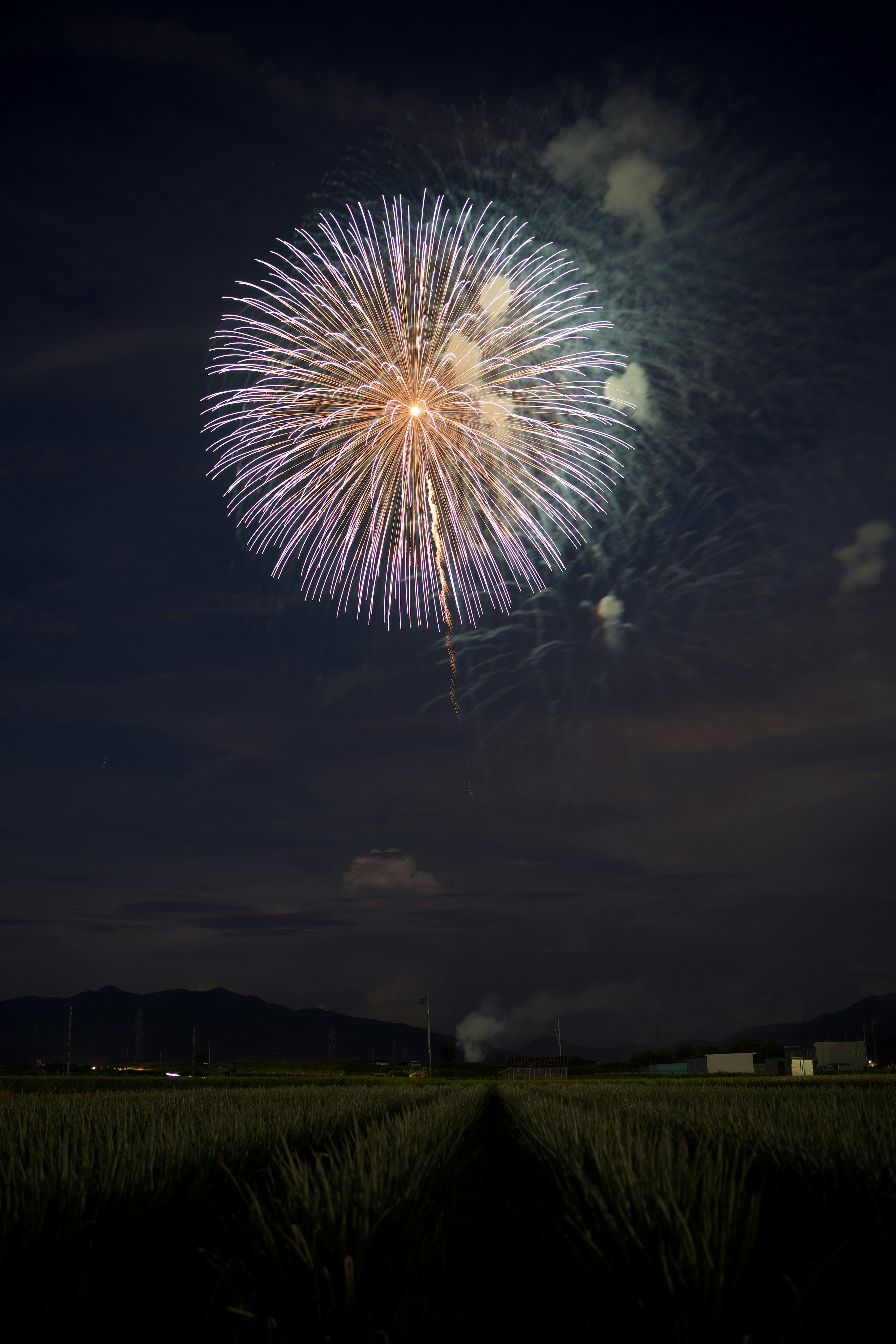 a fireworks is lit up in the night sky