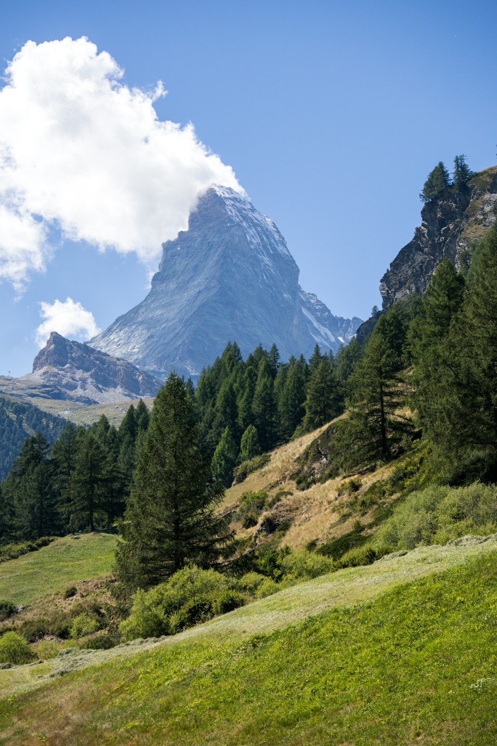 a mountain range with trees and grass in the foreground