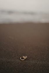 Close-up of wedding rings resting on a seashell with the ocean in the background.