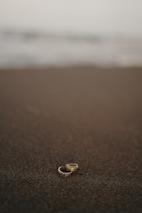 Close-up of wedding rings resting on a seashell with the ocean in the background.
