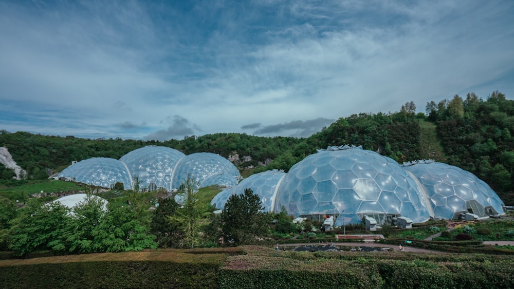a group of domes sitting in a lush green field