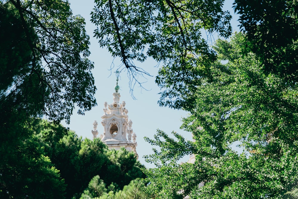 a tall white clock tower surrounded by trees