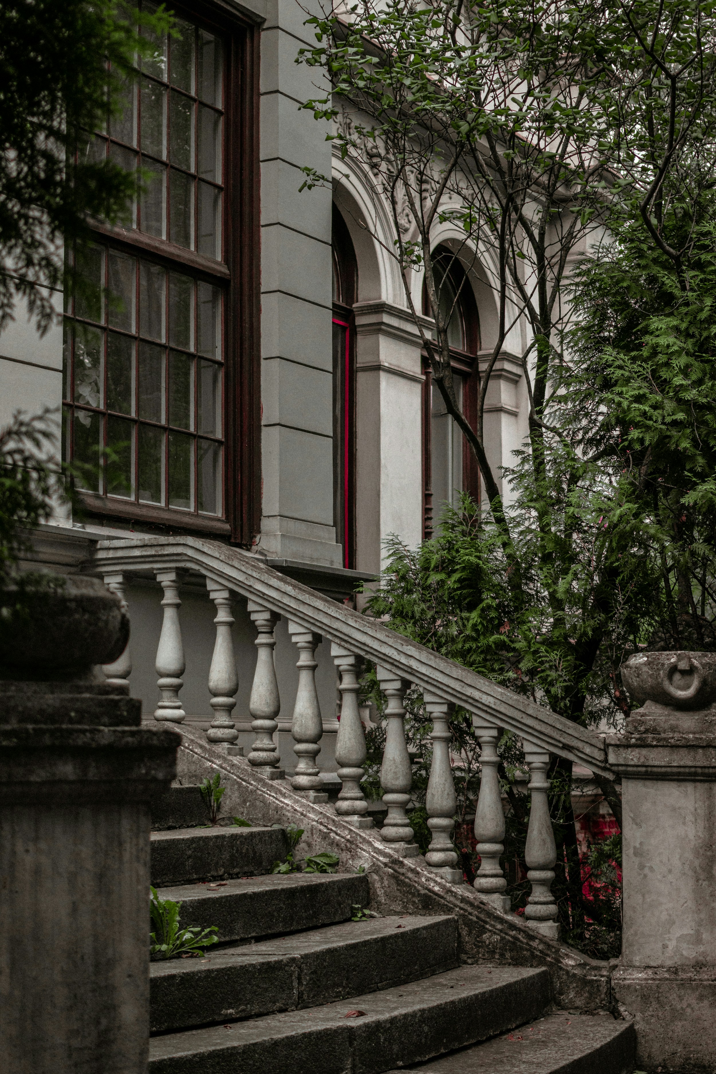 Photo by murpaz