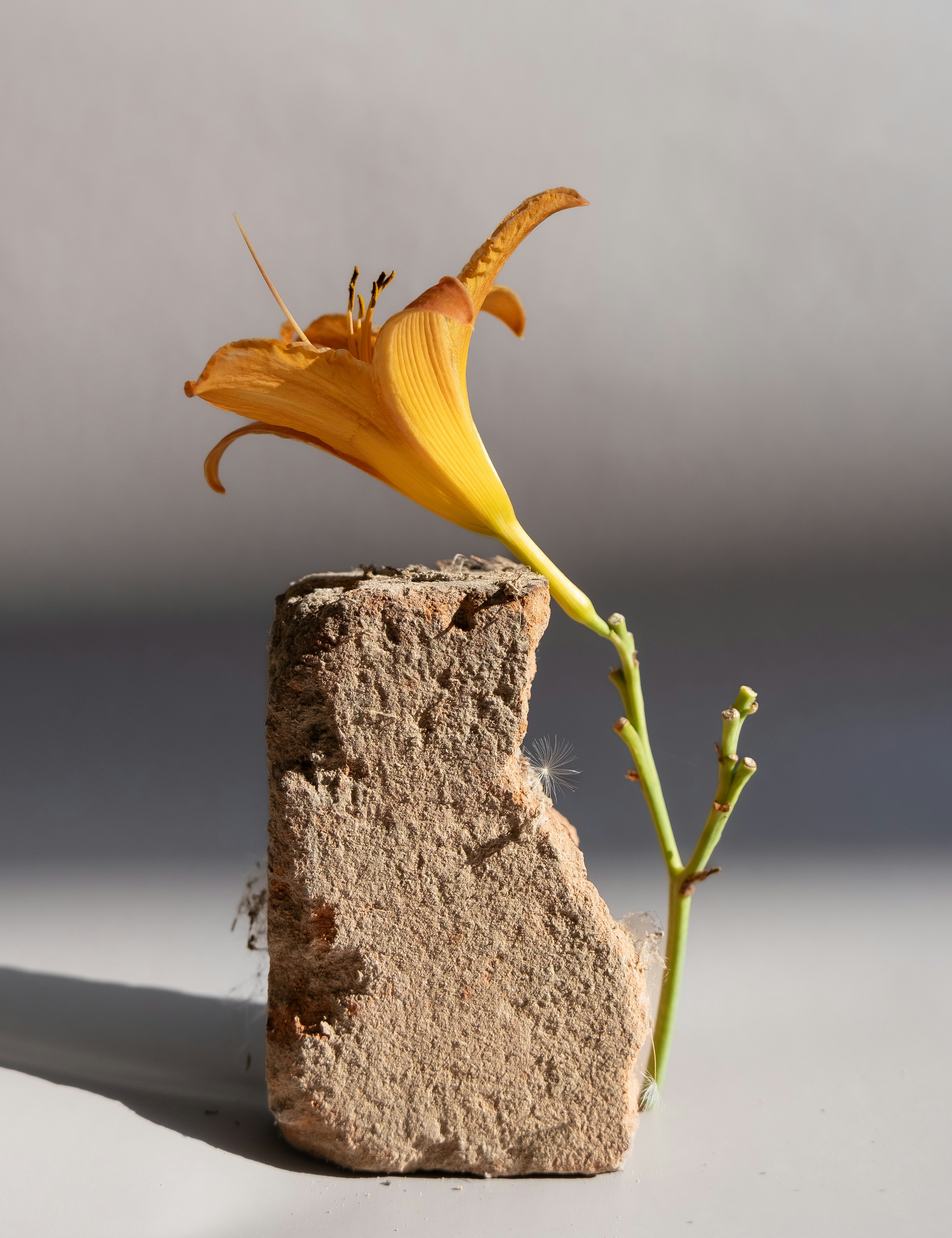 Photo by redredorange