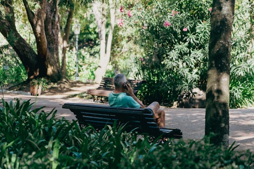 An elderly person is seated on a park bench, surrounded by lush green foliage and trees. The setting is peaceful and sunlit, with a variety of plants in the background. The individual appears to be relaxed and contemplative.