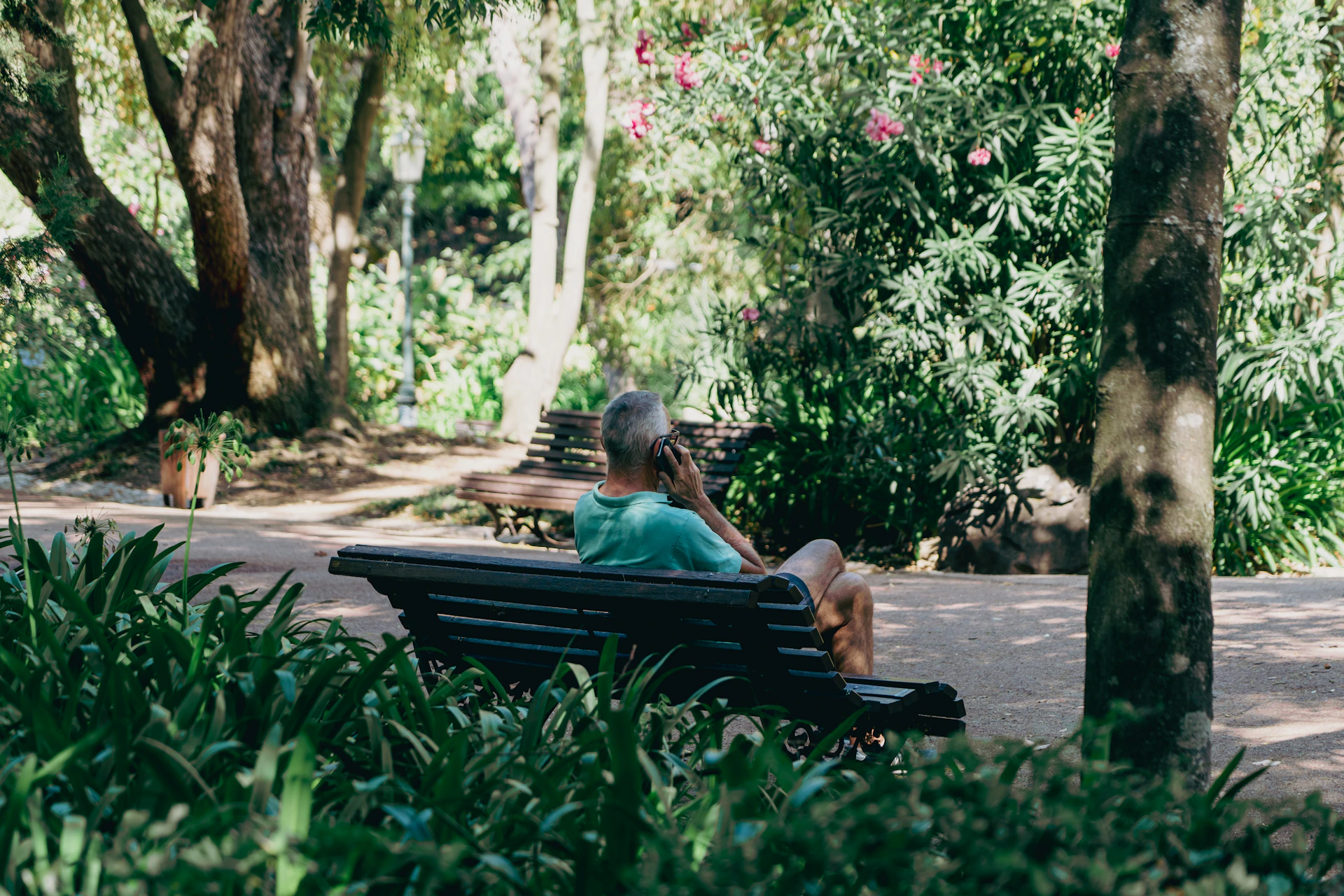 An elderly woman smiling while gently stretching her arms in a sunny park, surrounded by greenery.