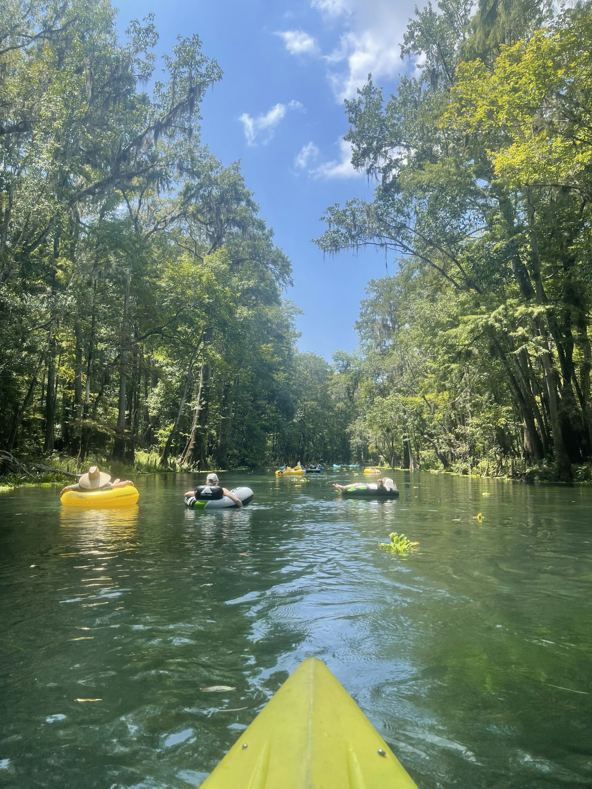 Families rafting together on a calm river surrounded by lush vegetation.