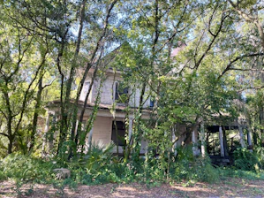 An old property with overgrown garden and signs of neglect, bathed in soft afternoon light.