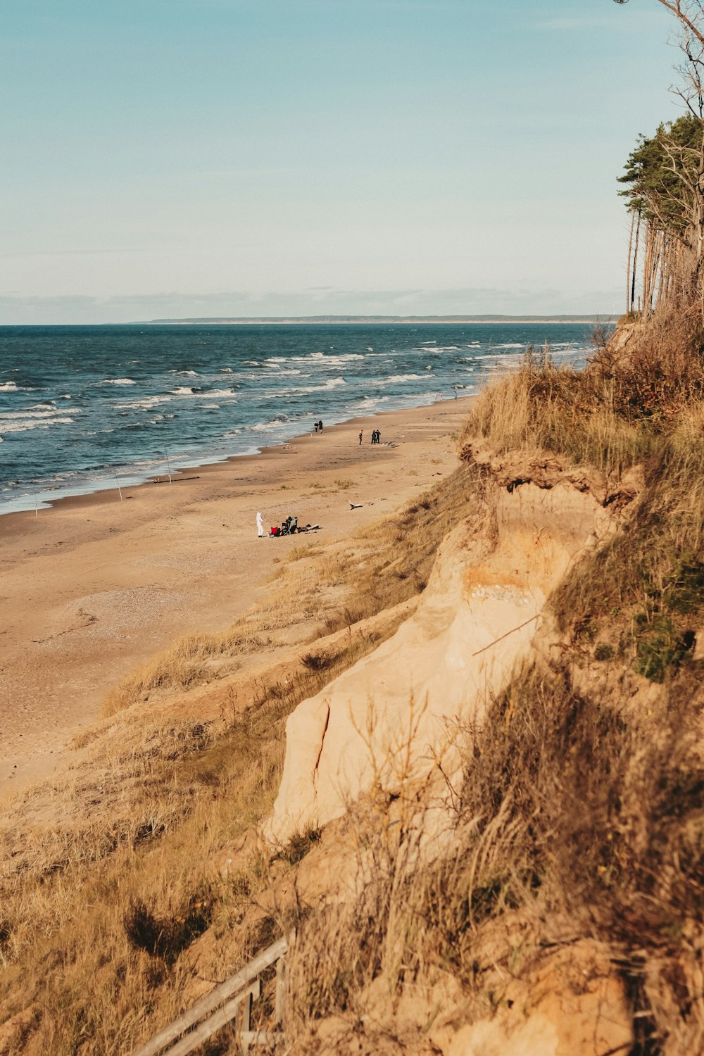 a sandy beach with a few people on it