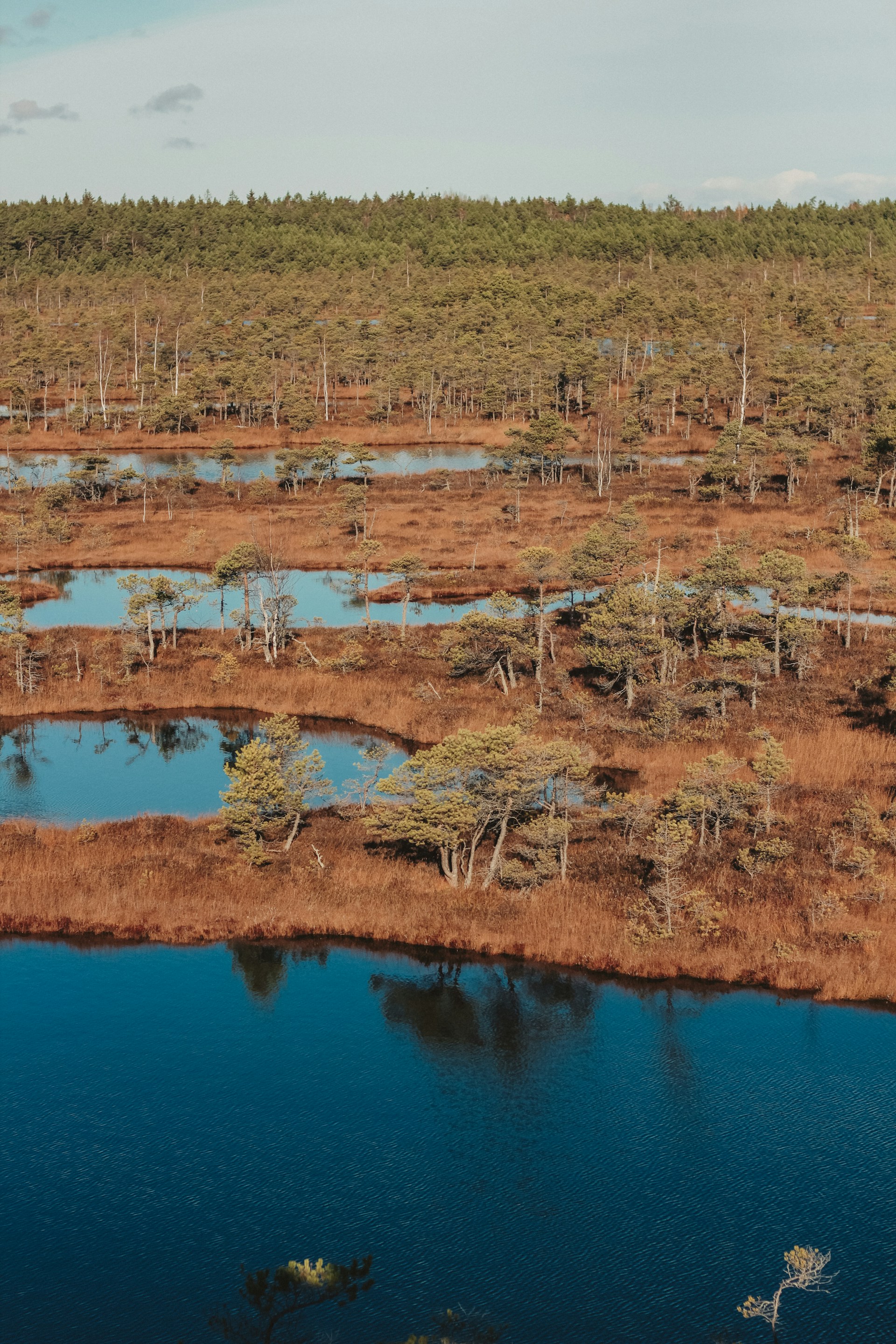 gray computer monitor