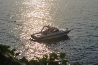 Elegant motorboat cruising near a sunny coastline with golden reflections on the water.