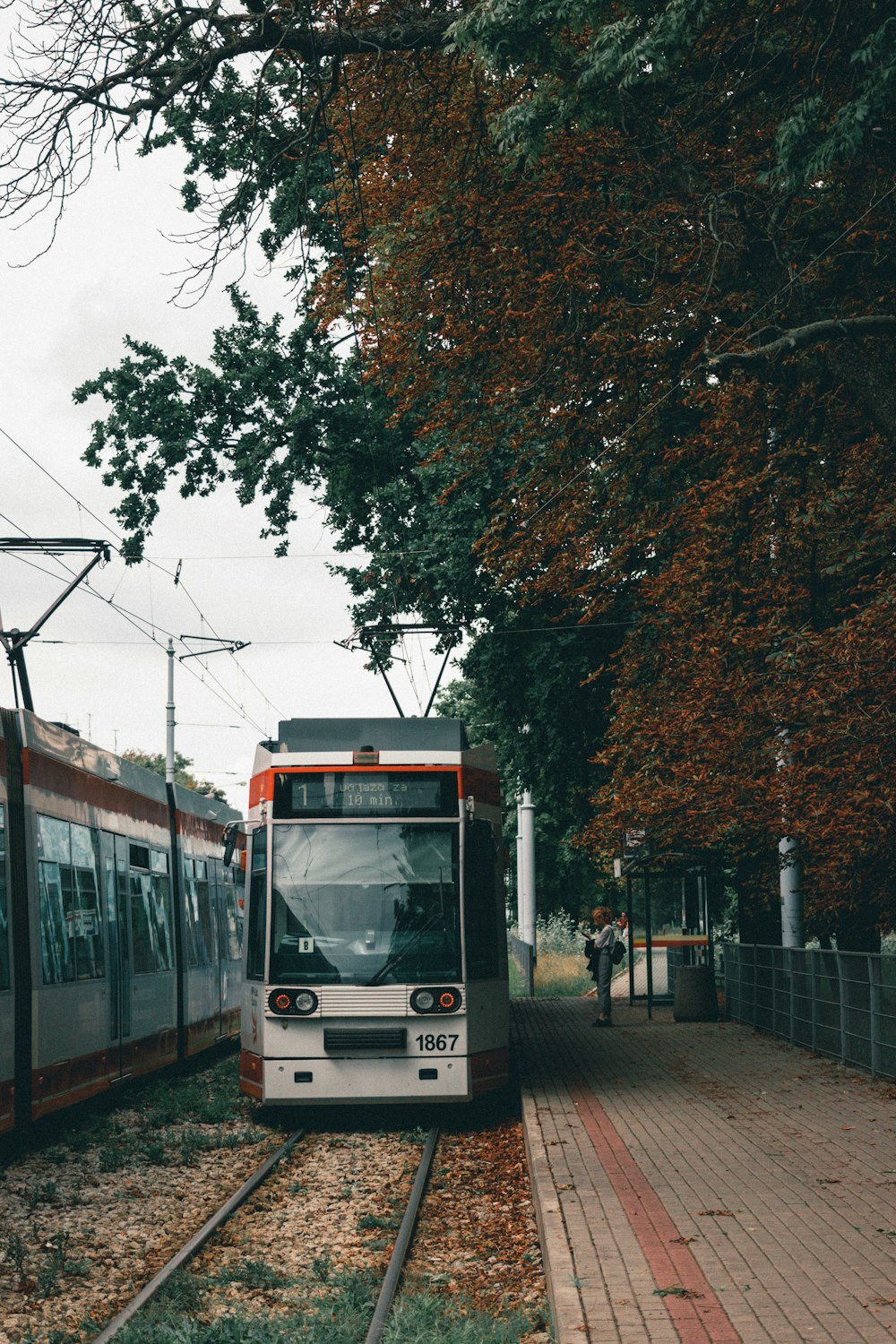 a train on a train track next to a tree