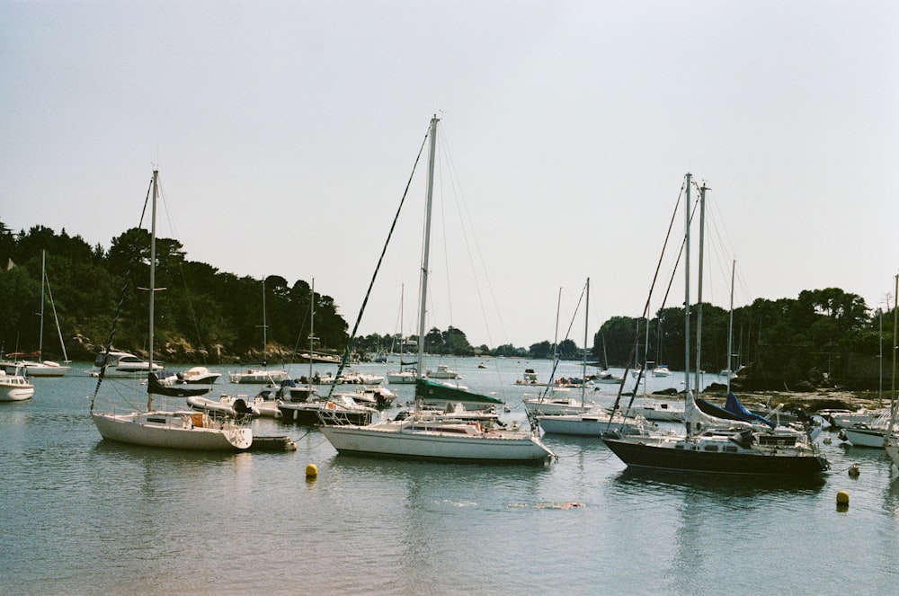 a group of boats floating on top of a body of water