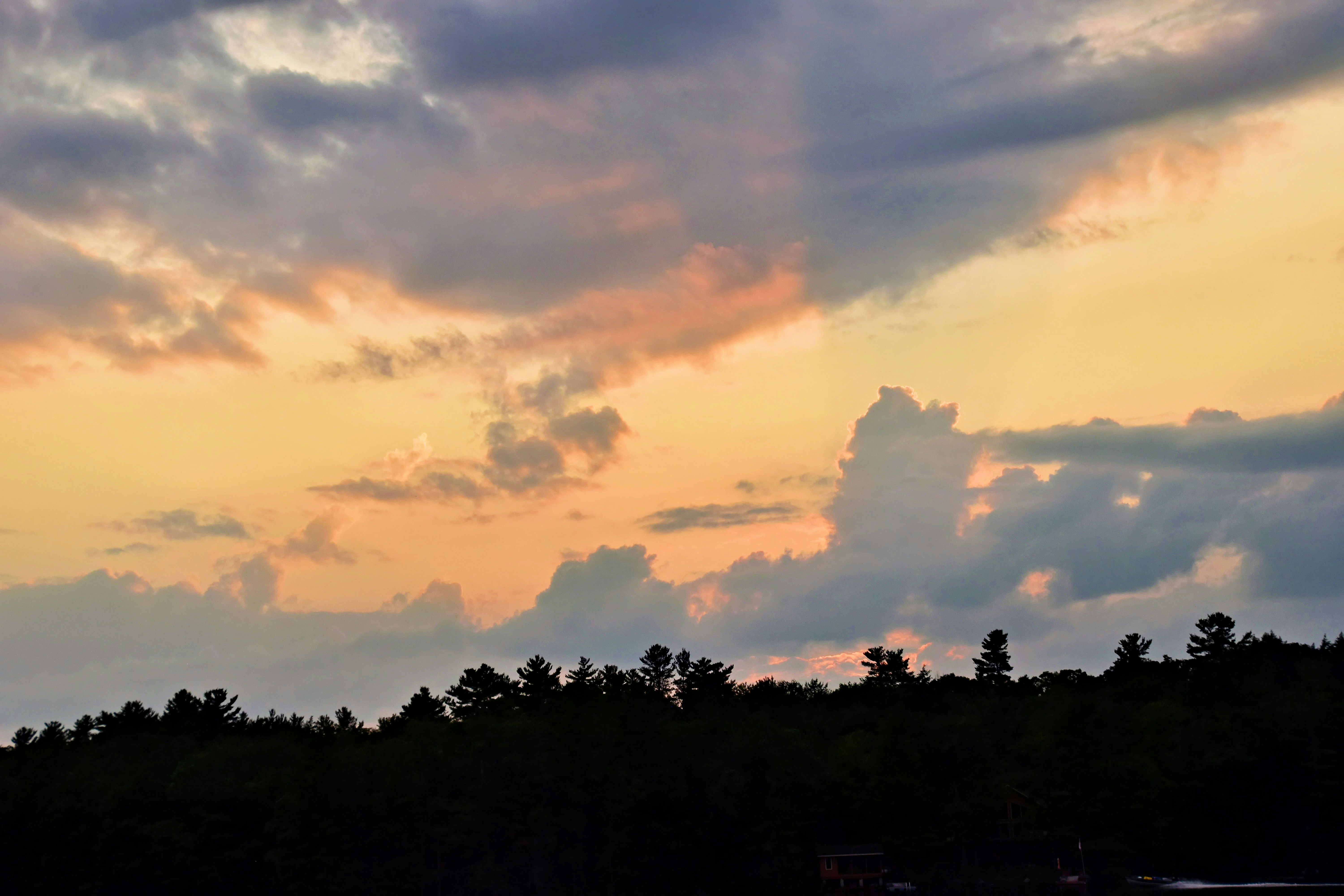 a plane flying over a forest under a cloudy sky