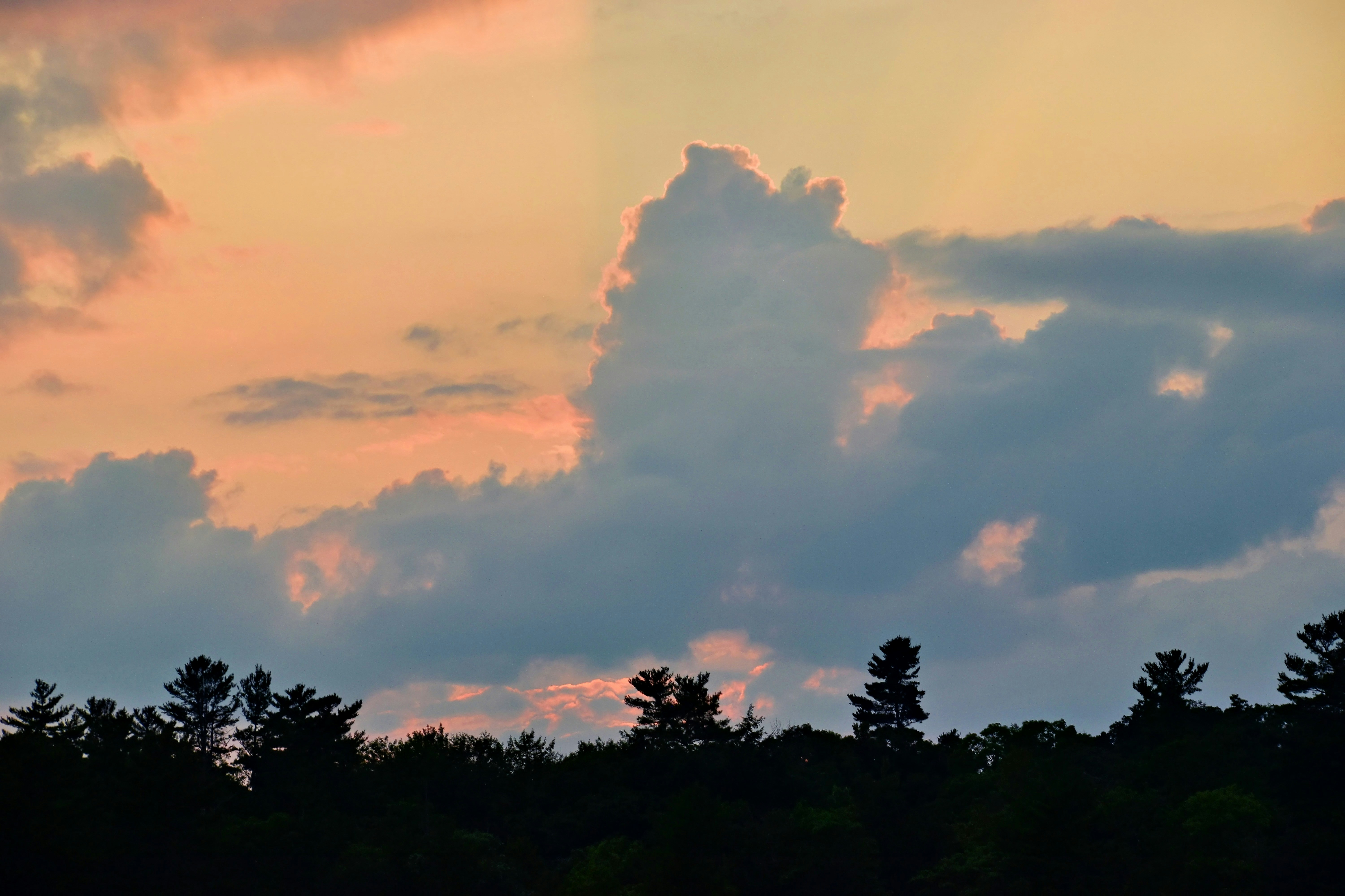 Photo by jeisen