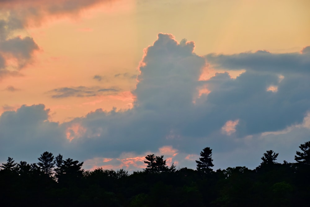 a plane is flying in the sky over the trees