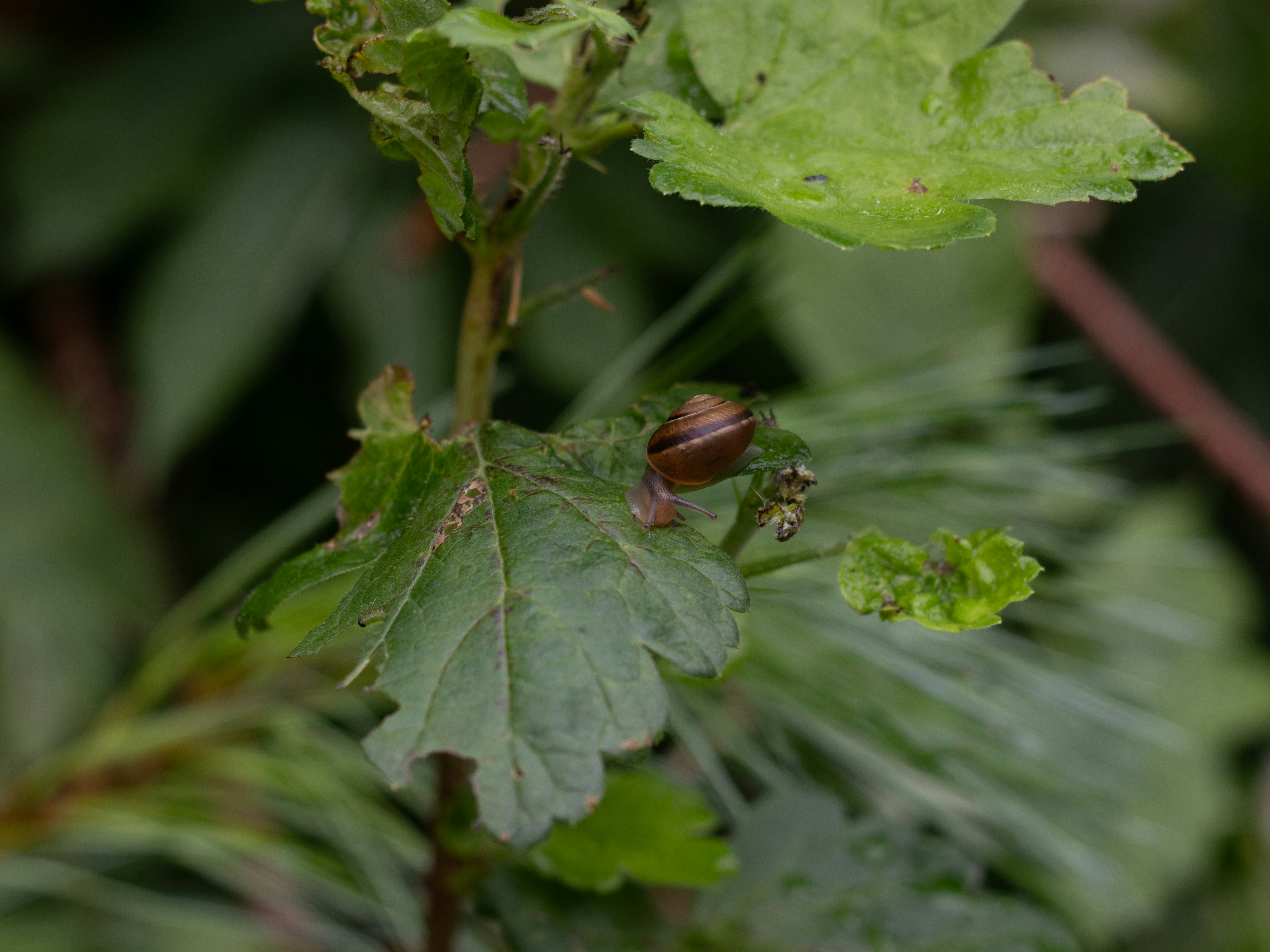 Photo by crawfordpassy