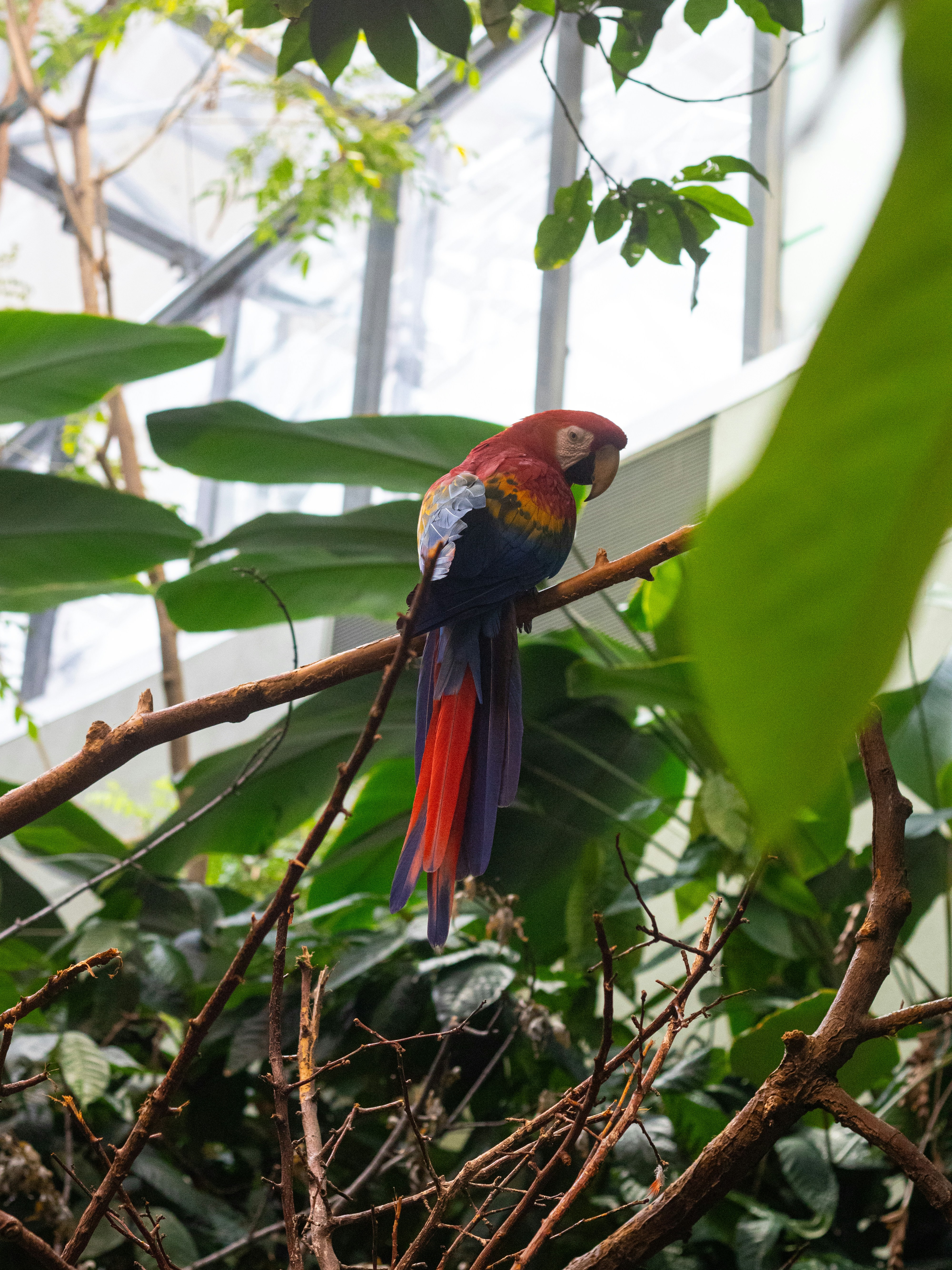 Montreal Biodome photo 3