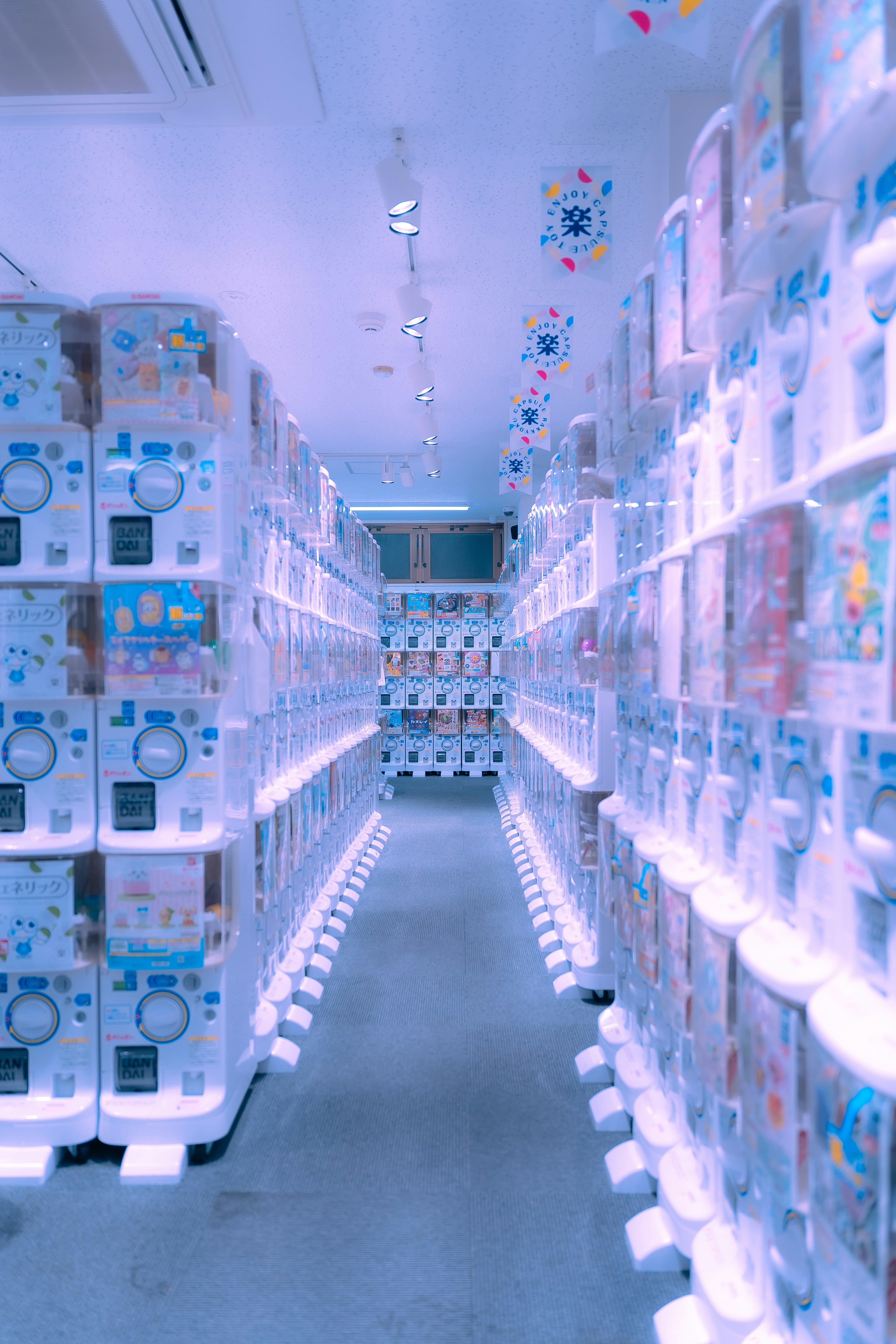 Cartes à collectionner