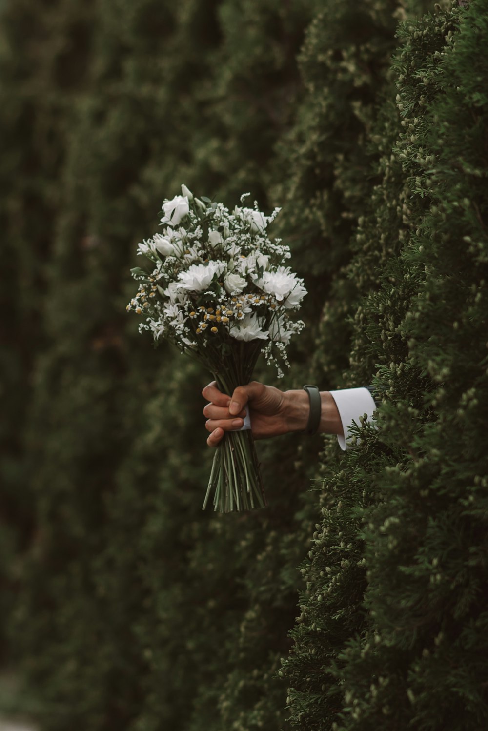a person holding a bunch of flowers in their hand